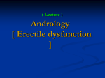 Evaluation and Treatment of Erectile Dysfunction
