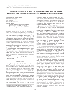 Quantitative real-time PCR assay for rapid detection of