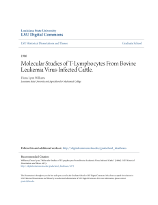 Molecular Studies of T-Lymphocytes From Bovine Leukemia Virus
