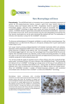 New Macrophage cell lines