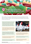 Veterinary antibiotics – animal handling and care