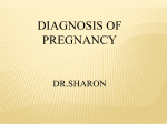 diagnosis of pregnancy