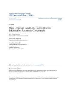 Stray Dogs and Wild Cats Tracking Down Information Systems in