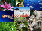 conservation of biodiversity