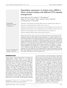 Quantitative expression of cholera toxin mRNA in Vibrio cholerae