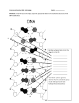 Identify numbered items 1-8 in the diagram to the left: Word bank