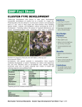 cluster-type development