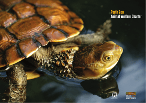 Perth Zoo`s Animal Welfare Charter