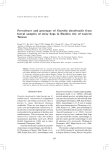 Prevalence and genotype of Giardia duodenalis from faecal