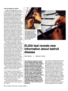 ELISA test reveals new information about leafroll disease