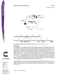 pTRE2pur-Myc Vector - Clontech Laboratories, Inc.