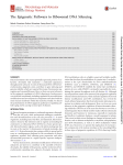 The Epigenetic Pathways to Ribosomal DNA Silencing