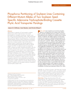Phosphorus Partitioning of Soybean Lines Containing Different
