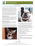 Pet Dental Health Gives Pet Owners a Reason to Smile Pet Dental