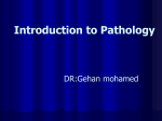 Introduction to Pathology