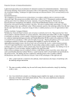 Detection Systems in Immunohistochemistry