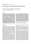 Spatial restriction of AChR gene expression to