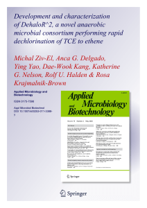 Development and characterization of DehaloR^2, a novel anaerobic