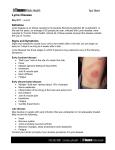 Lyme Disease fact sheet
