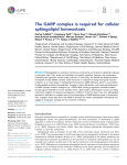 The GARP complex is required for cellular sphingolipid homeostasis