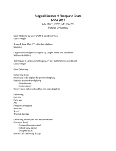Surgical Diseases of Sheep and Goats IVMA 2017