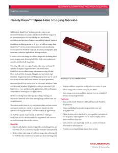 ReadyView Open-Hole Imaging Service