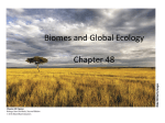 Species Interactions, Communities, and Ecosystems