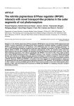 The retinitis pigmentosa GTPase regulator (RPGR) interacts with