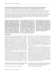 CpG-ODN 2006 and human parvovirus B19 genome consensus