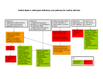 Oxford Alpha-1 antitrypsin deficiency care pathway for routine referrals