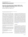 Steady-state and transient electron transport within the wide energy