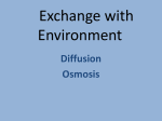 Exchange with Environment