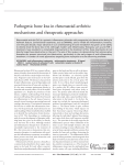 Pathogenic bone loss in rheumatoid arthritis