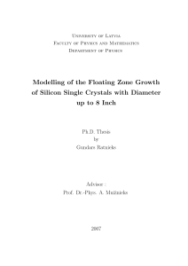 Modelling of the Floating Zone Growth of Silicon Single Crystals with