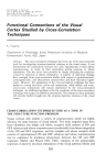 Functional Connections of the Visual Cortex Studied by Cross