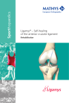 Ligamys® – Self-healing of the anterior cruciate ligament