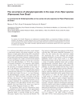 The occurrence of phenylpropanoids in the saps of six Piper species