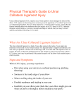 Physical Therapist`s Guide to Ulnar Collateral Ligament Injury