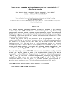 Novel carbon nanotube reinforced polymer derived ceramics by