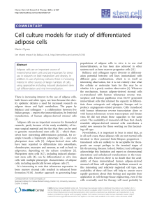Cell culture models for study of differentiated adipose cells