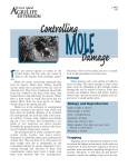 Damage Trapping Biology and Reproduction