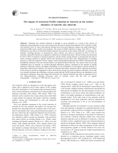 The impact of structural Fe(III) reduction by bacteria on