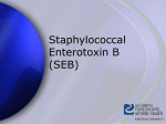 Staphylococcus enterotoxin B - The Center for Food Security and