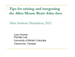 Tips for mining and integrating the Allen Mouse Brain Atlas data