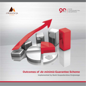 Outcomes of de minimis Guarantee Scheme