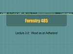 Forestry 485