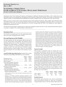 SA BlackRock VCP Global Multi Asset Portfolio Summary