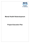 Mental Health Redevelopment Project Execution Plan