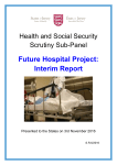 Future Hospital Project: Interim Report