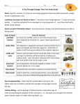 Fossils Test Study Guide